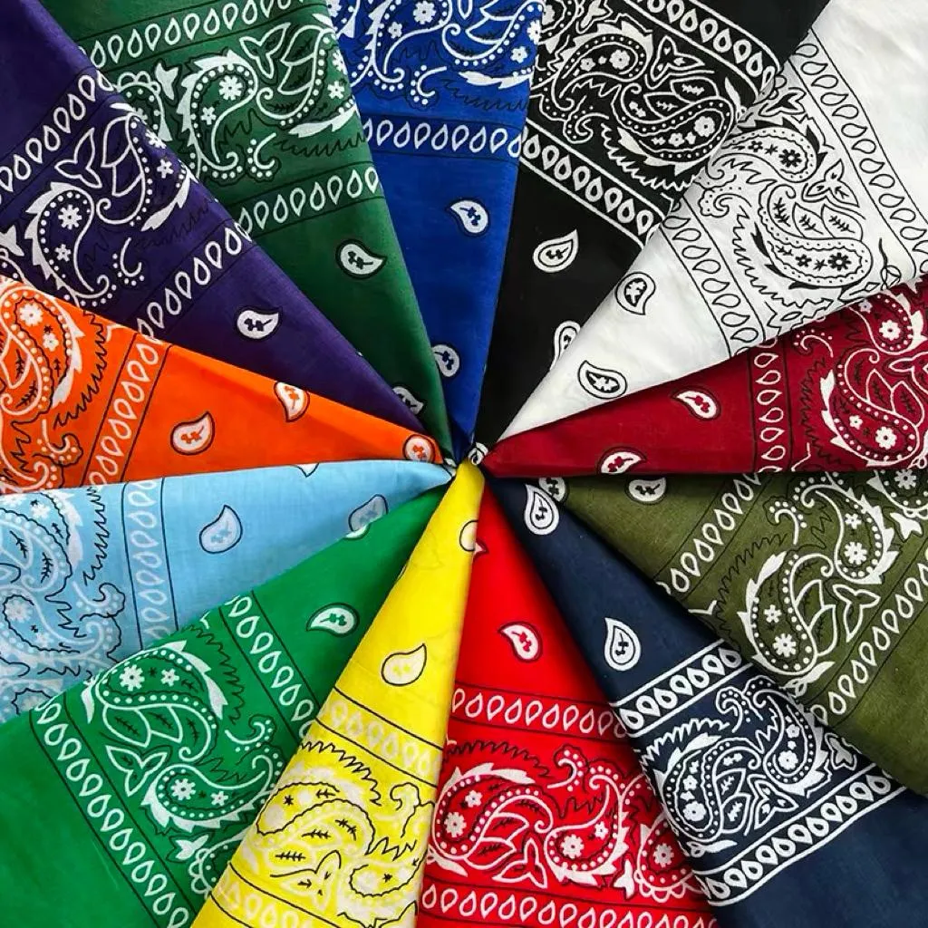 〔GroveStreet〕現貨 大款 方巾 Paisley bandana 西岸風格 佩斯利花紋 變形蟲 90s