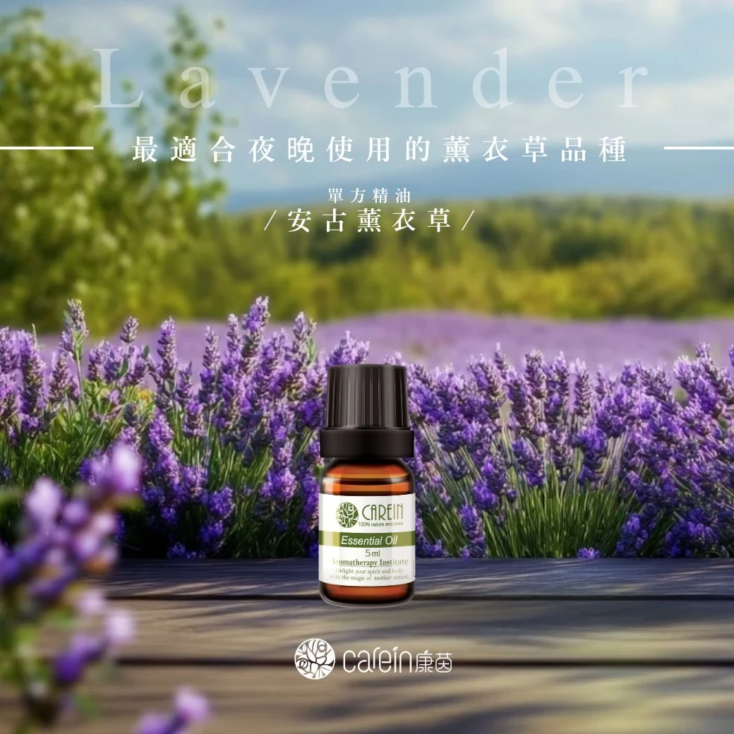安古薰衣草精油