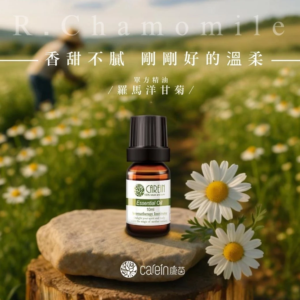 羅馬洋甘菊精油