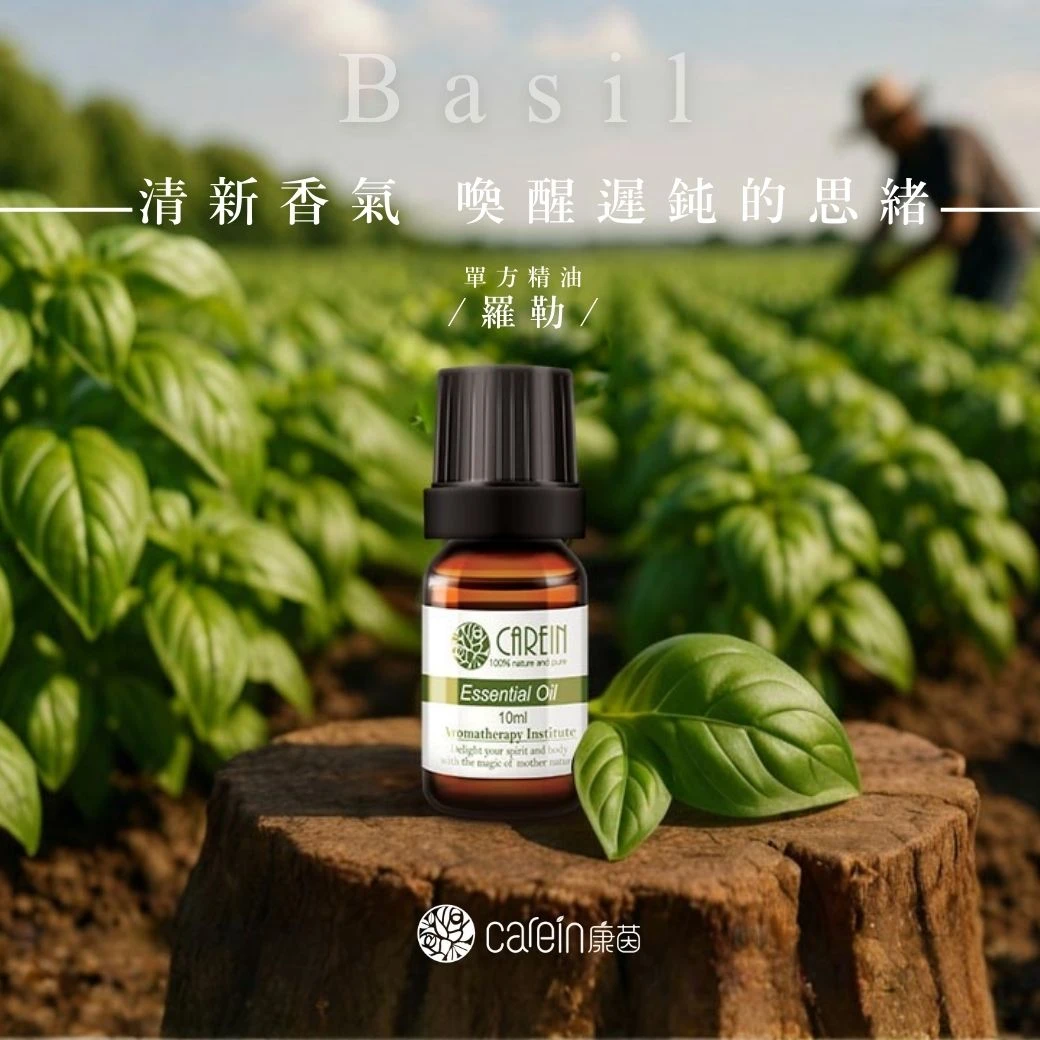 羅勒精油