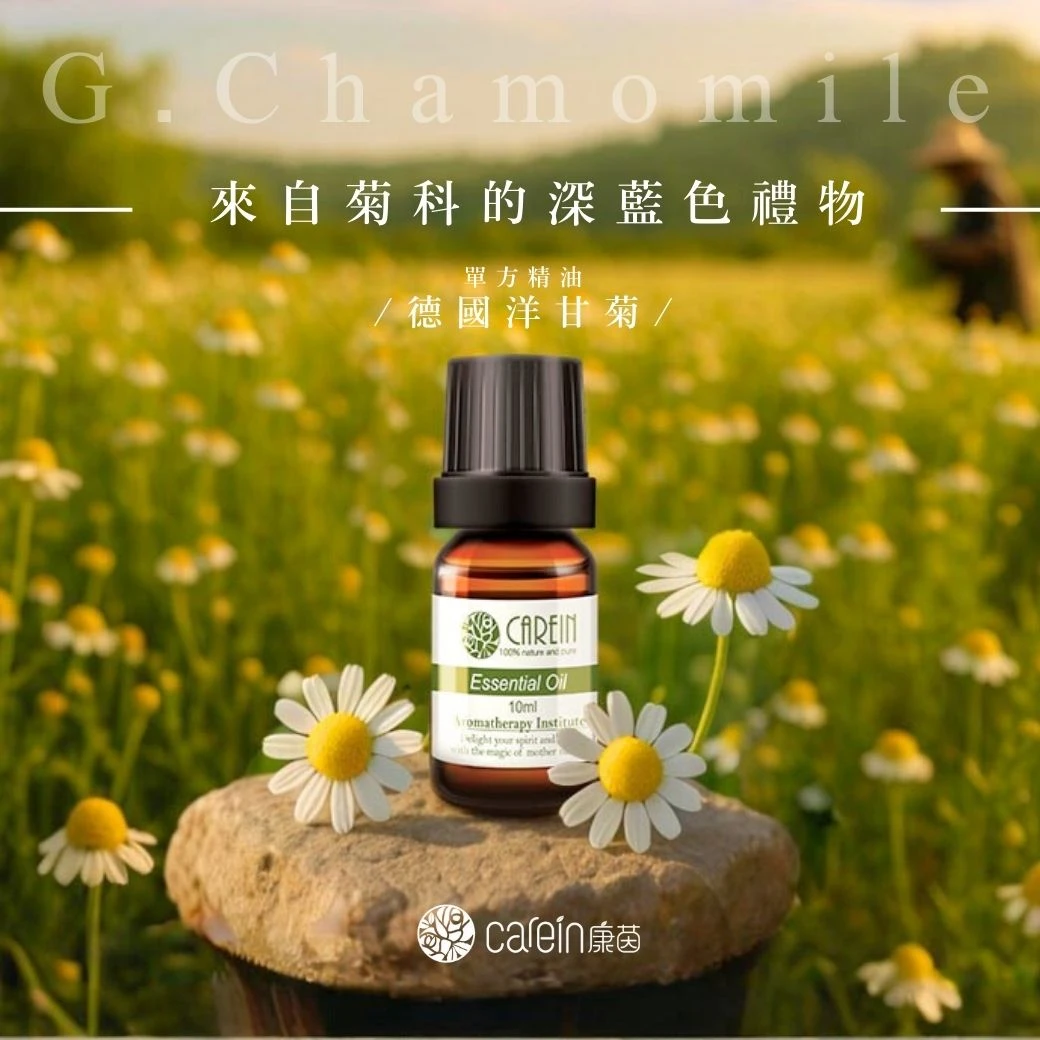 德國洋甘菊精油(藍甘菊)