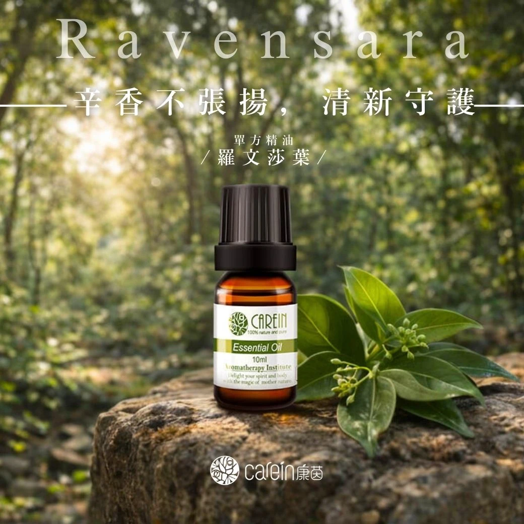羅文莎葉精油