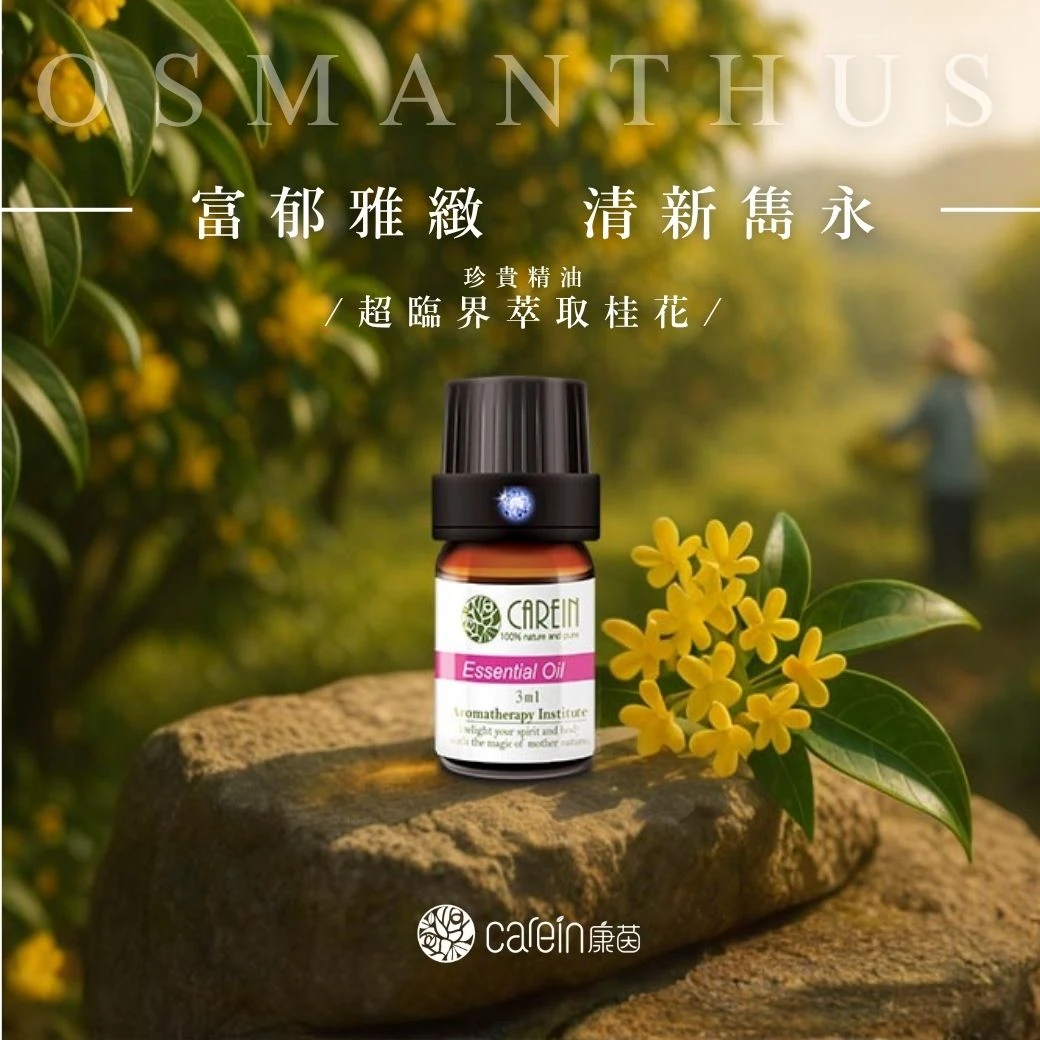 桂花精油(超臨界萃取)
