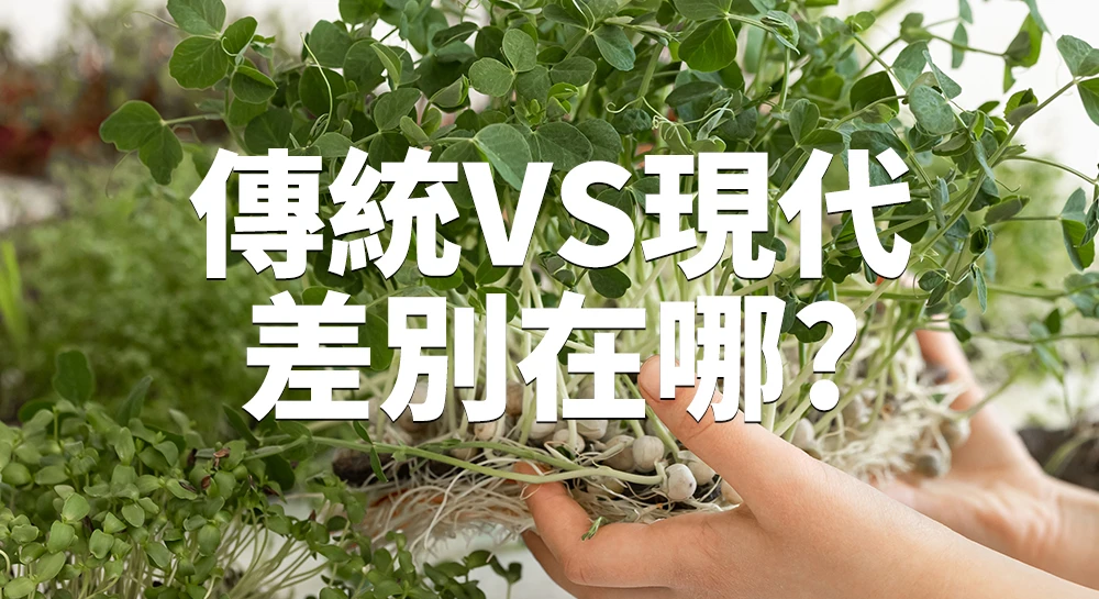 傳統淨身除穢包跟極光盾有什麼差異？選購前必看