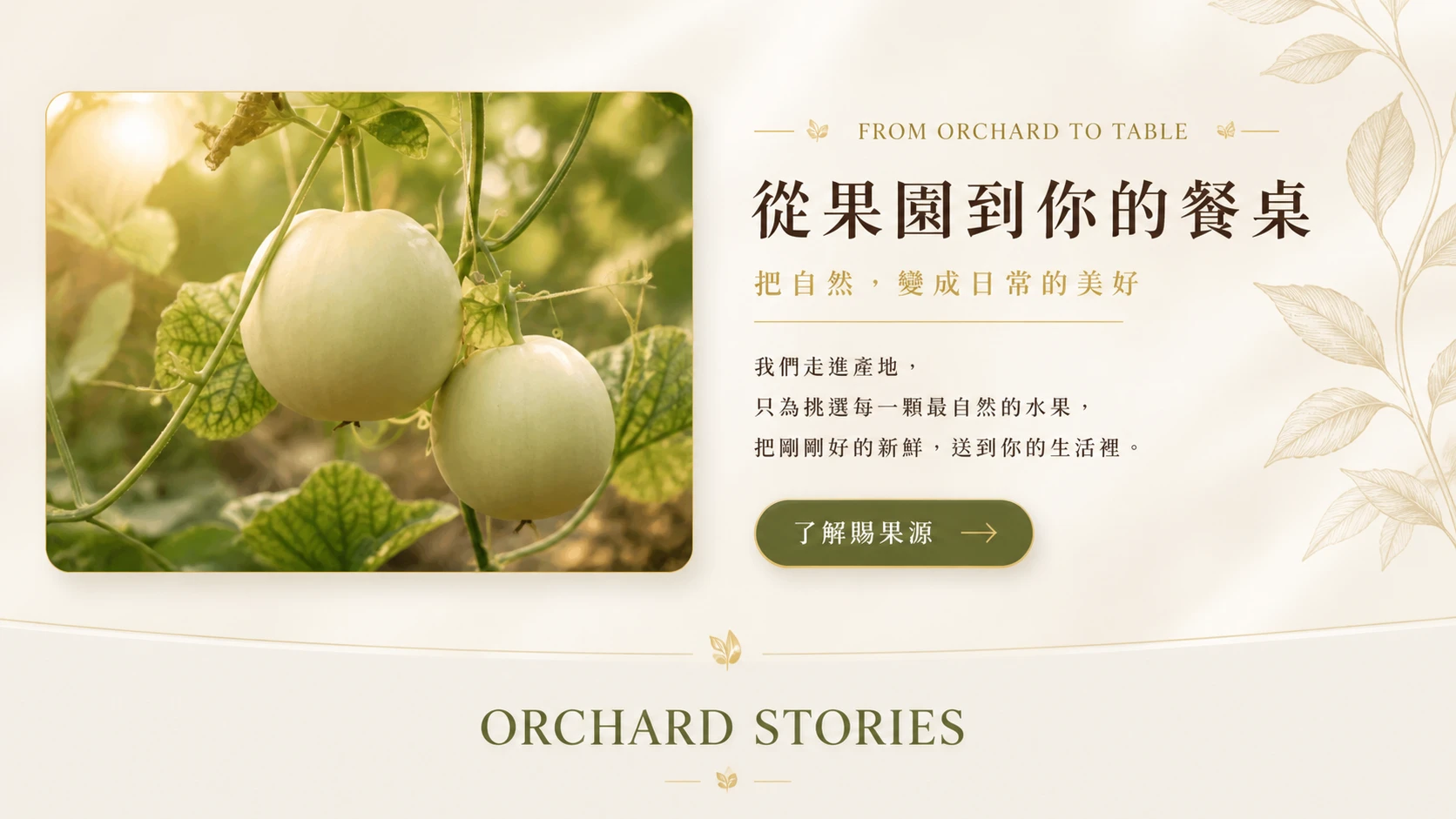 賜果源當季水果直送｜新鮮葡萄與生活風格展示