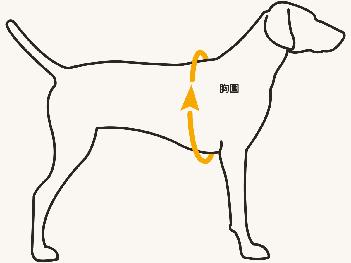 RUFFWEAR 衣服量法示意圖