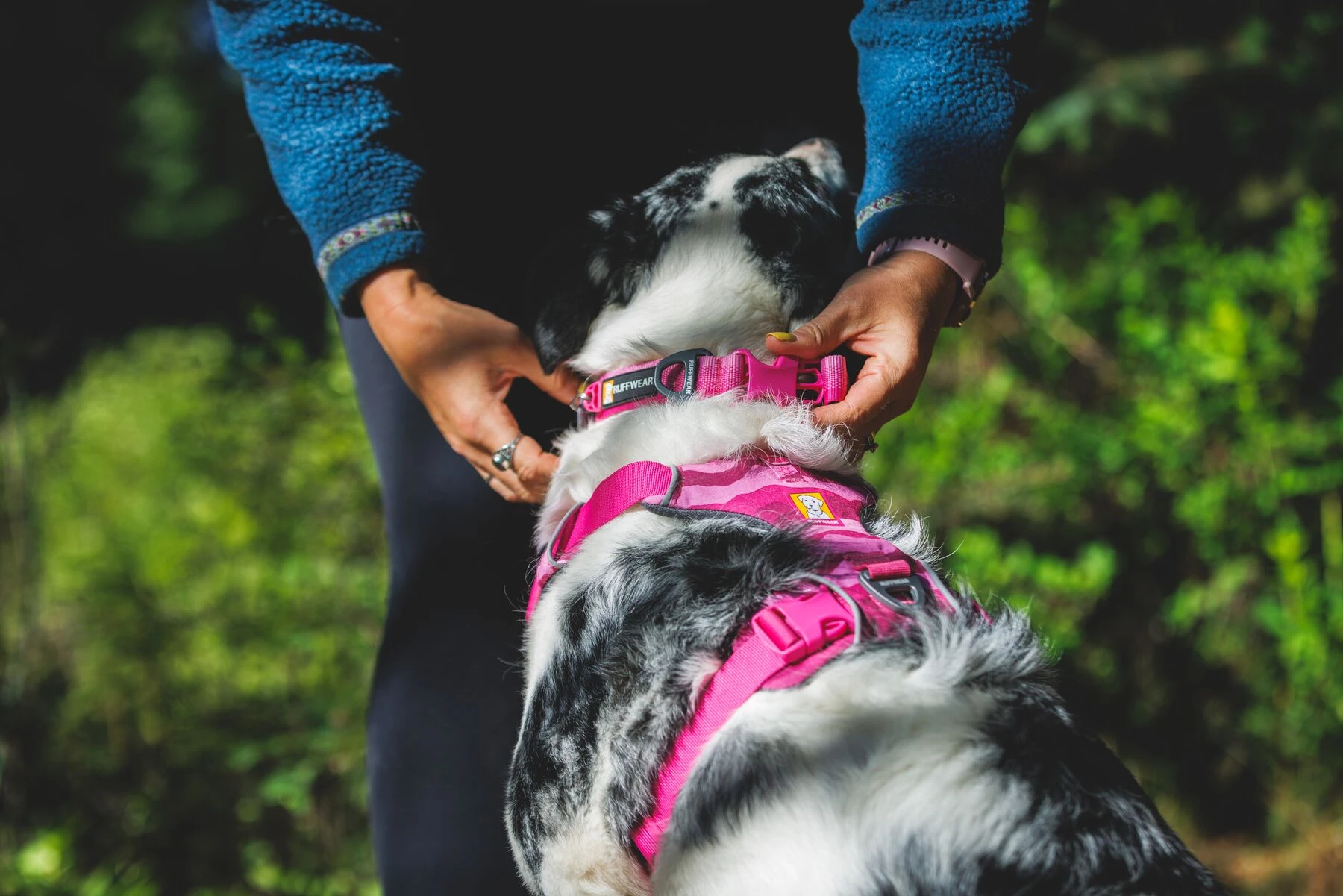 RUFFWEAR Front Range胸背粉霞山景新配色