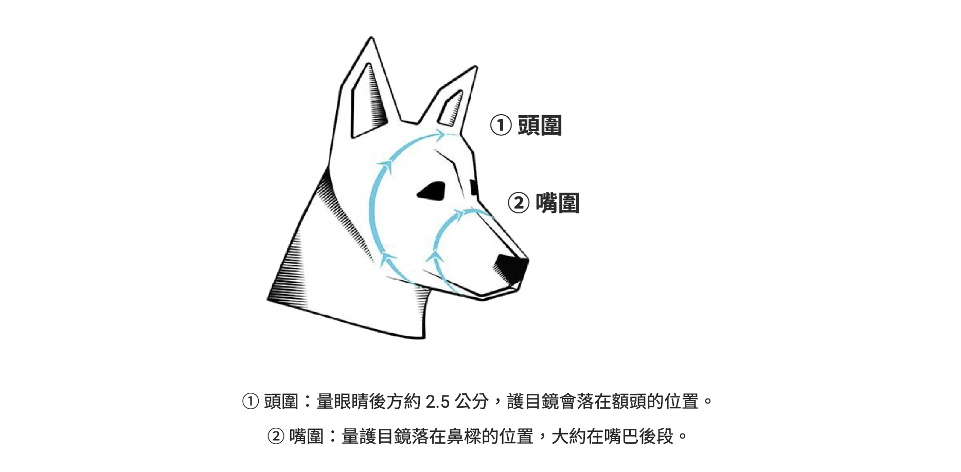 Rex Specs護目鏡頭圍與嘴圍丈量示意圖