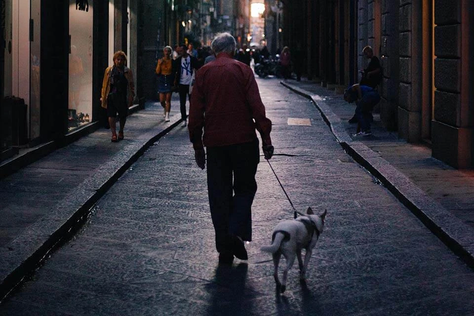 高齡犬認知變化的9種常見徵兆，飼主如何日常照顧與陪伴？