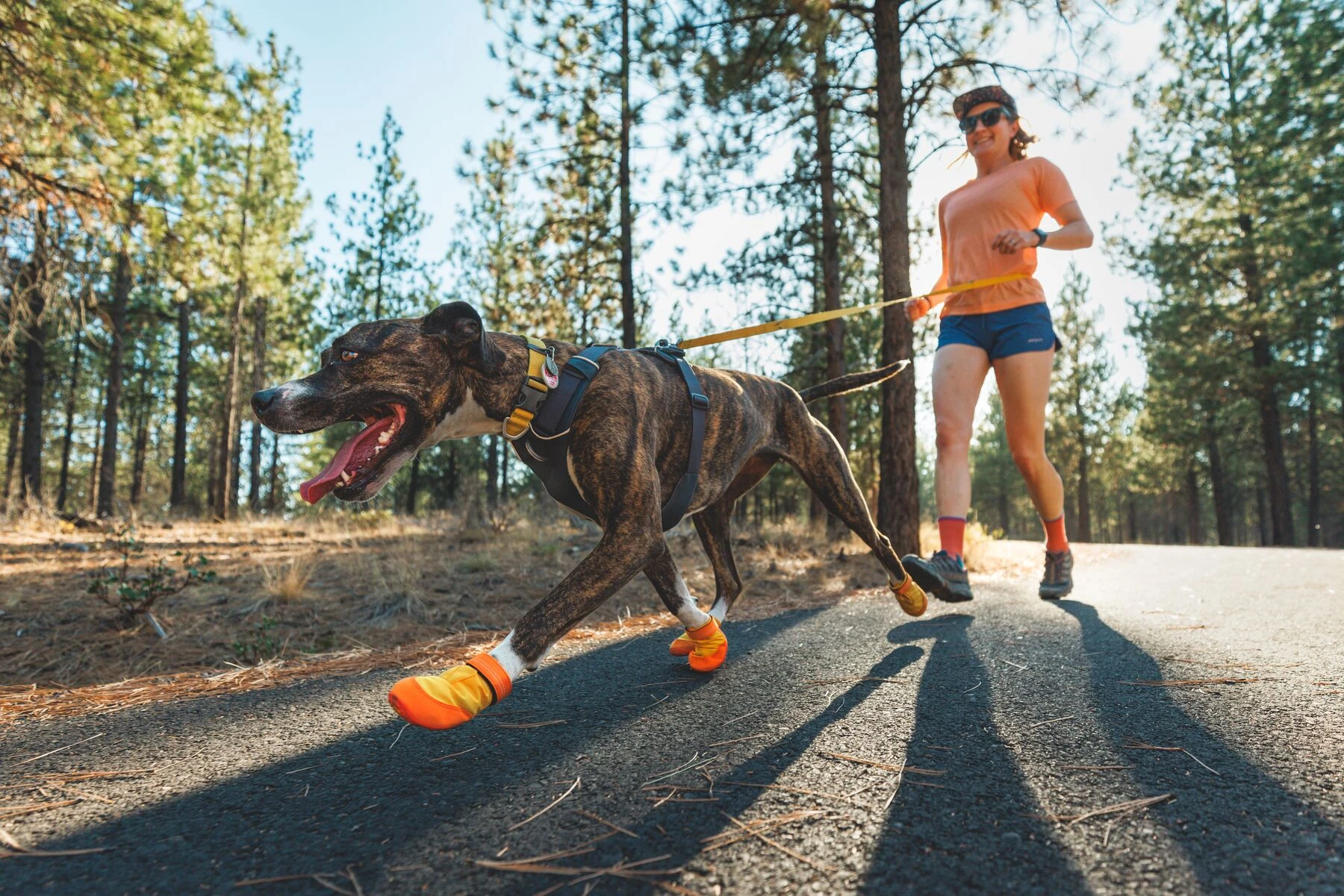 狗鞋怎麼穿？6 個讓狗狗快速適應 Ruffwear 狗鞋的實用技巧