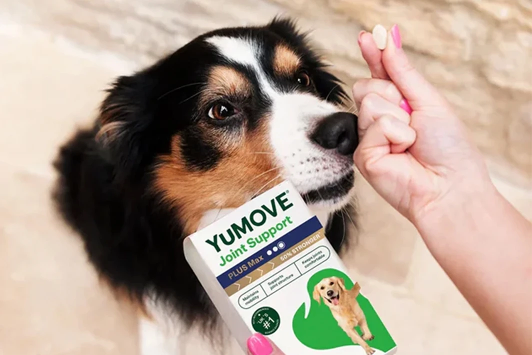 狗狗關節保健品有效嗎?幾歲要開始吃?YuMOVE關節保健這樣挑