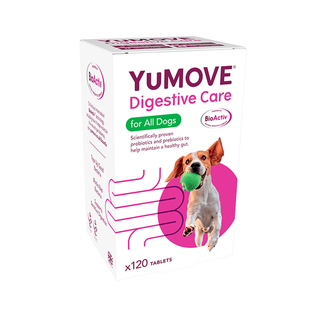 犬樂寶 Digestive Care