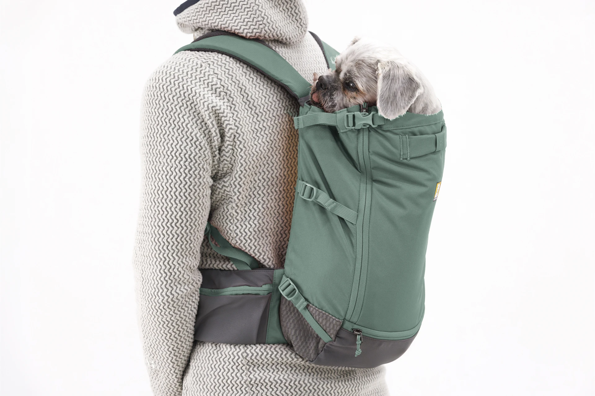 Hitch Hiker™ 狗狗背包 綠