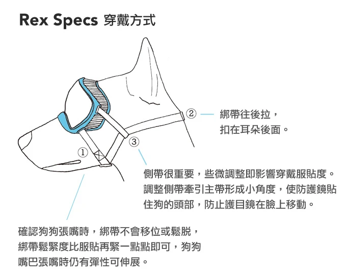 Rex Specs 穿戴方式