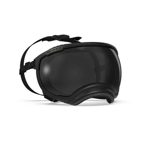 Rex Specs V2護目鏡 -BLACK
