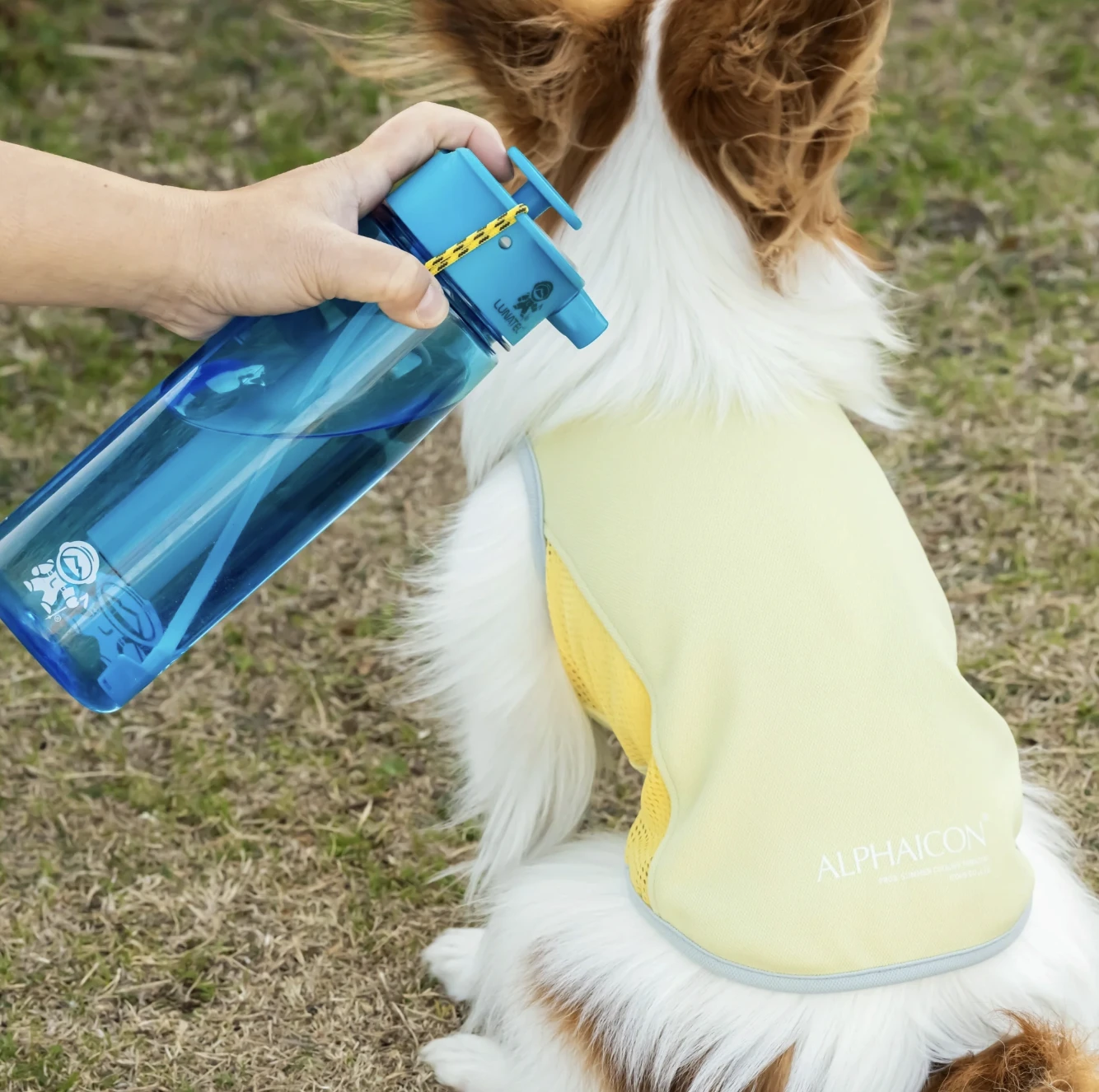 ALPHAICON 涼感背心EDDY |Pets Zakka 寵物雜貨舖｜RUFFWEAR 台灣代理商