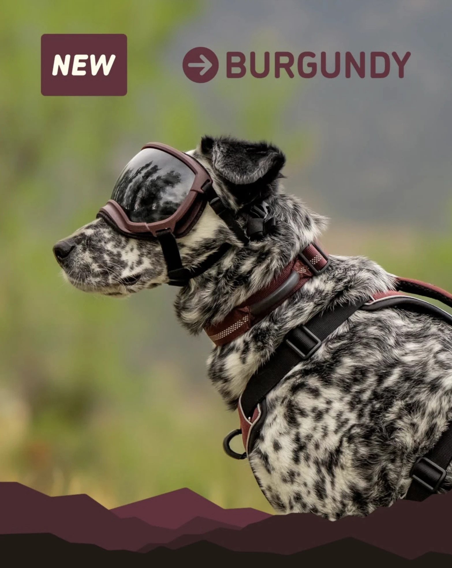 Rex Specs V2護目鏡 Burgundy