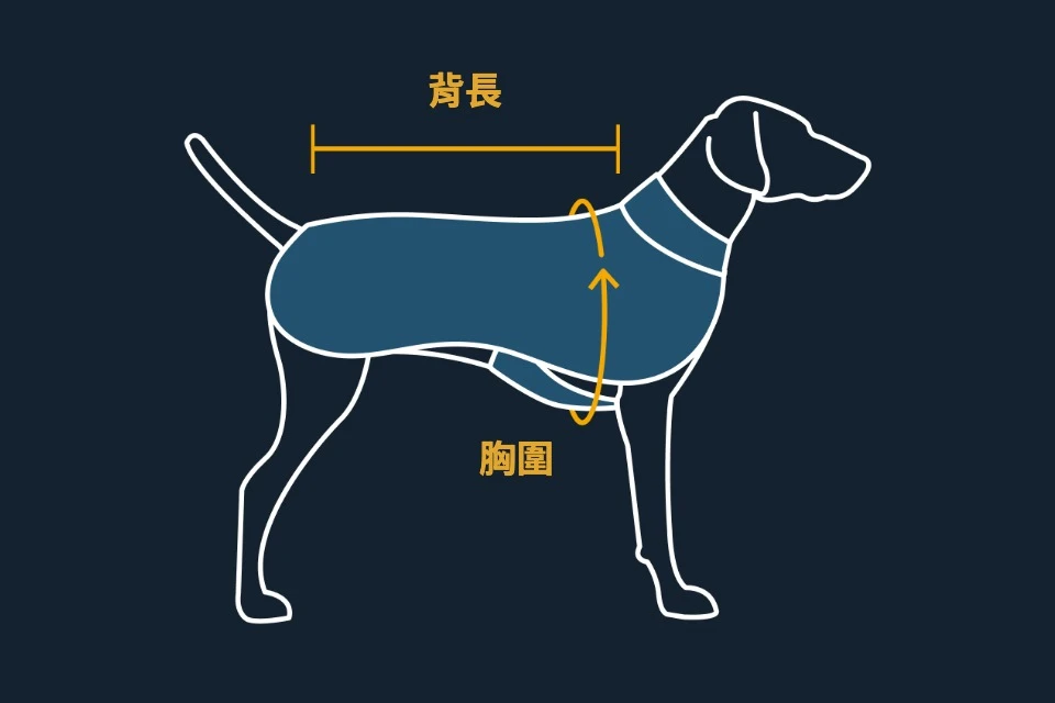 胸圍與背長量法