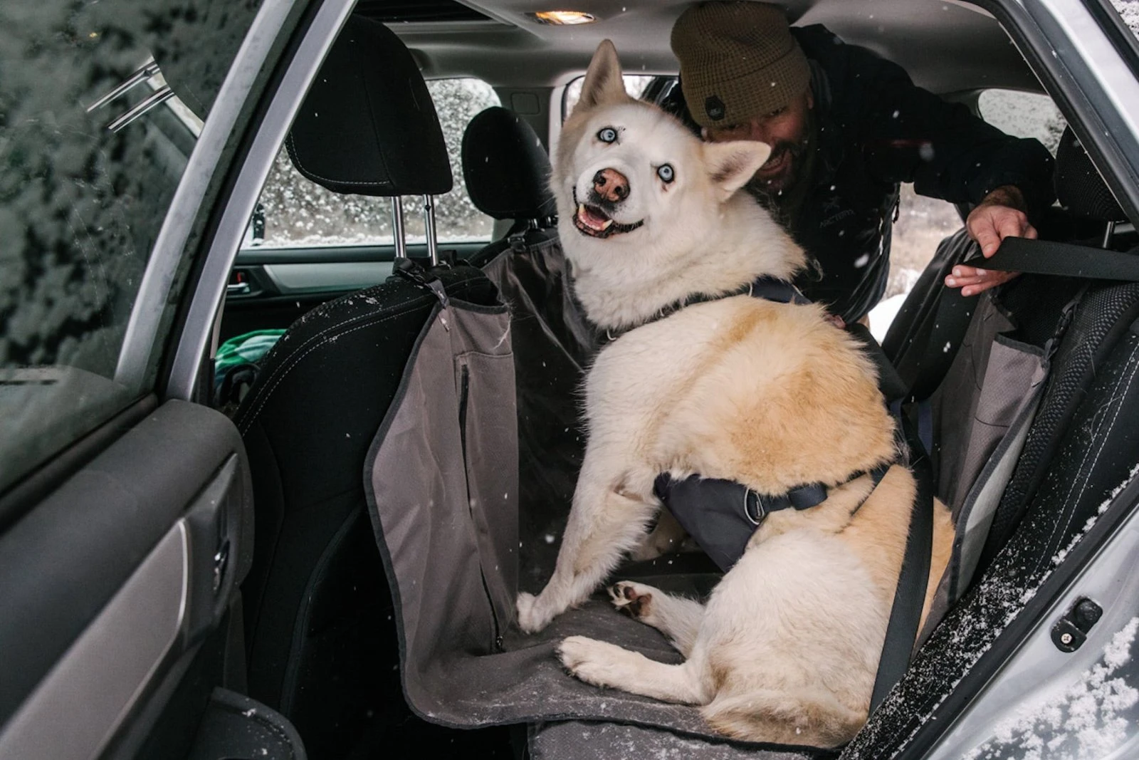RUFFWEAR Load Up 車用胸背 情境