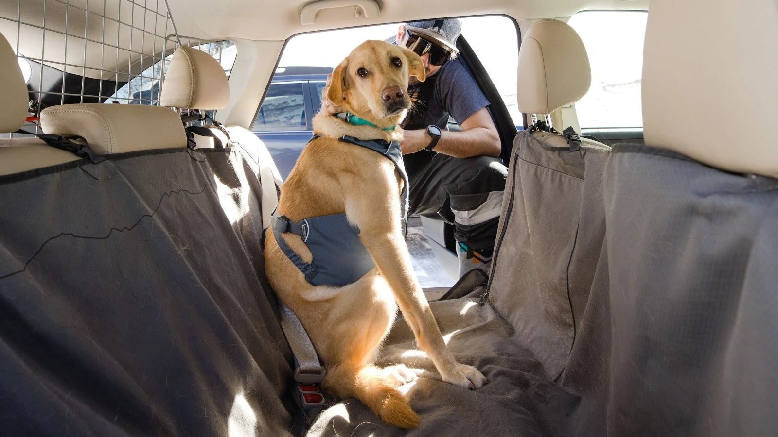 RUFFWEAR Load Up 車用胸背 情境