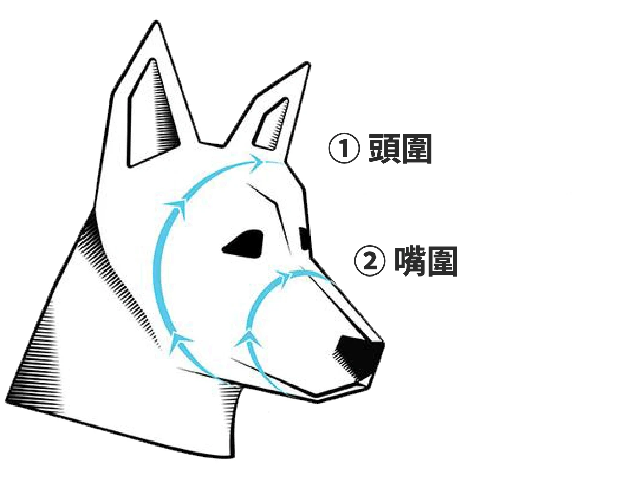 頭圍與嘴圍量法