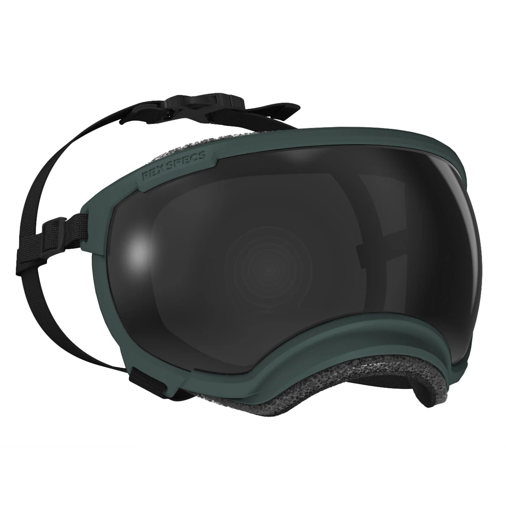 Rex Specs V2護目鏡- FOREST GREEN