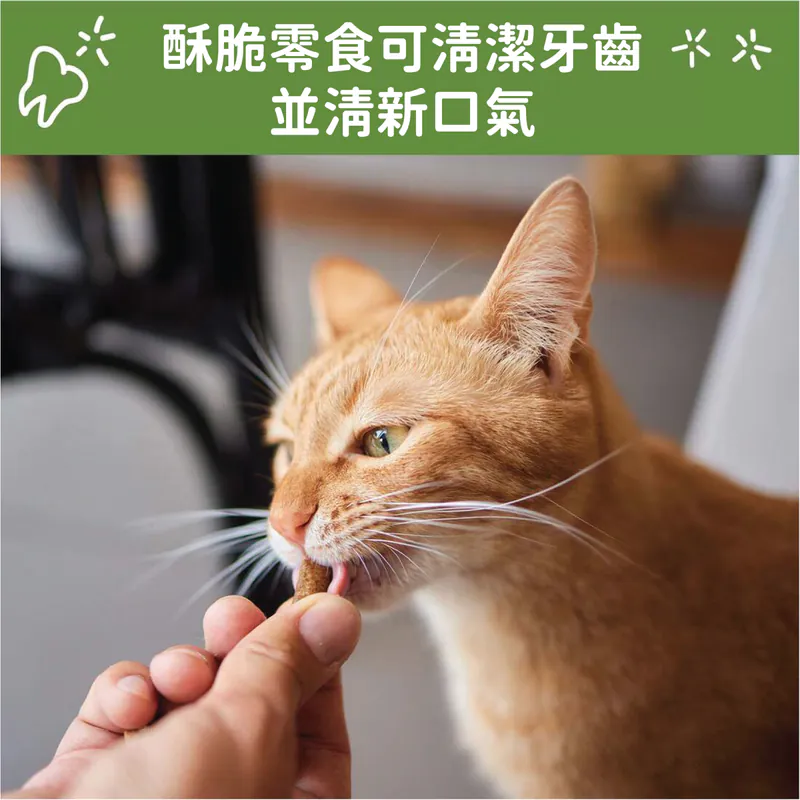 WHIMZEES 唯潔- 貓咪潔牙餅 鮭魚+雞肉口味