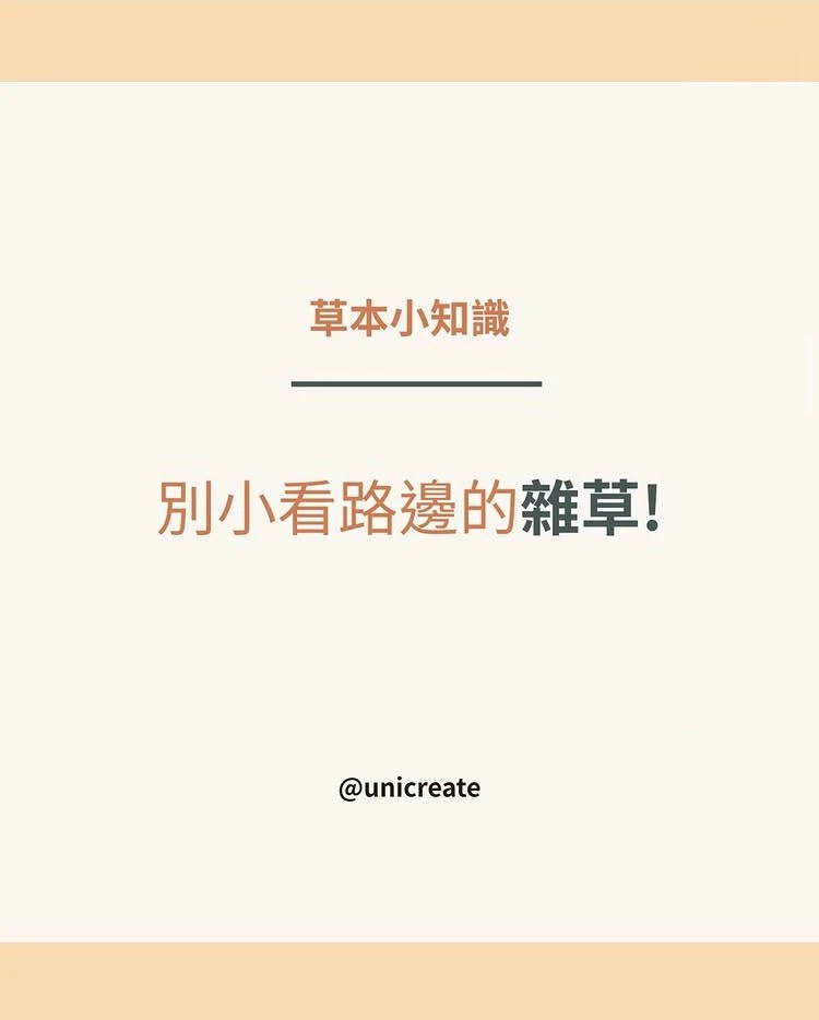 🌿 別小看路邊那一株小白花