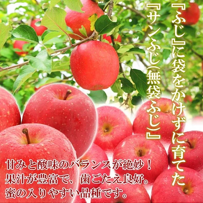 日本青森蜜蘋果