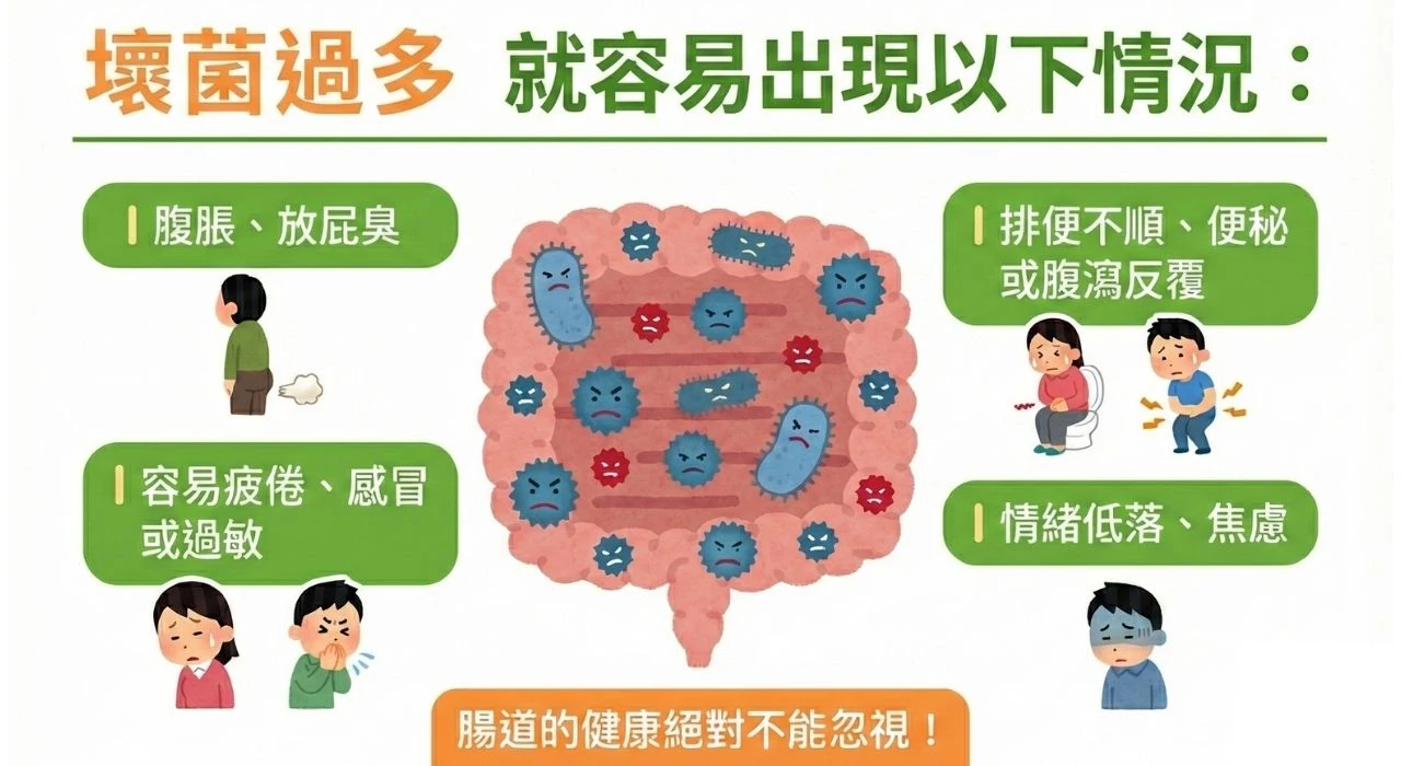 壞菌多會怎樣