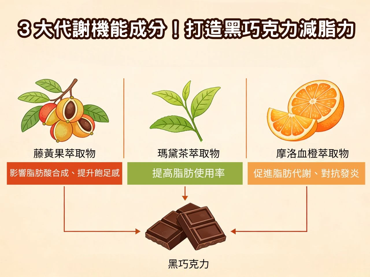 3大代謝機能成分，打造黑巧克力減脂力