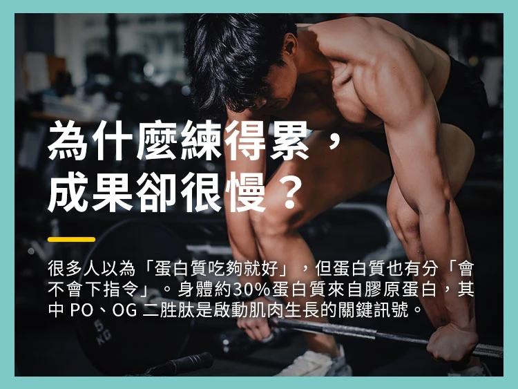 蛋白質吃夠就好