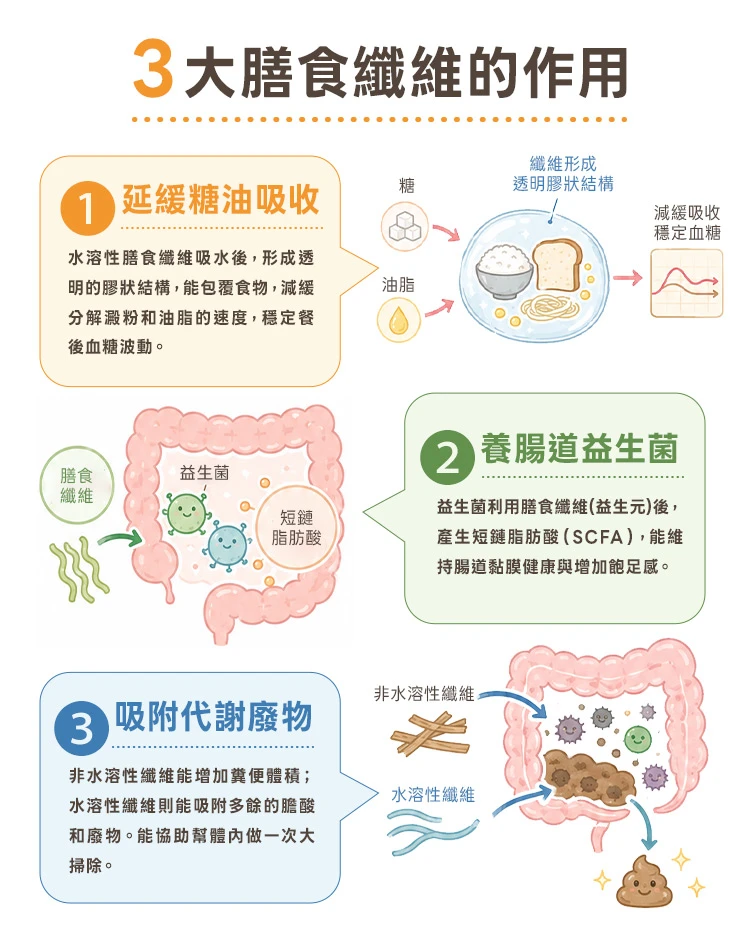 3大膳食纖維的作用