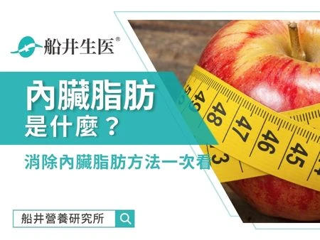 內臟脂肪怎麼減？5大內臟脂肪危害、3大消除方法快速擊退