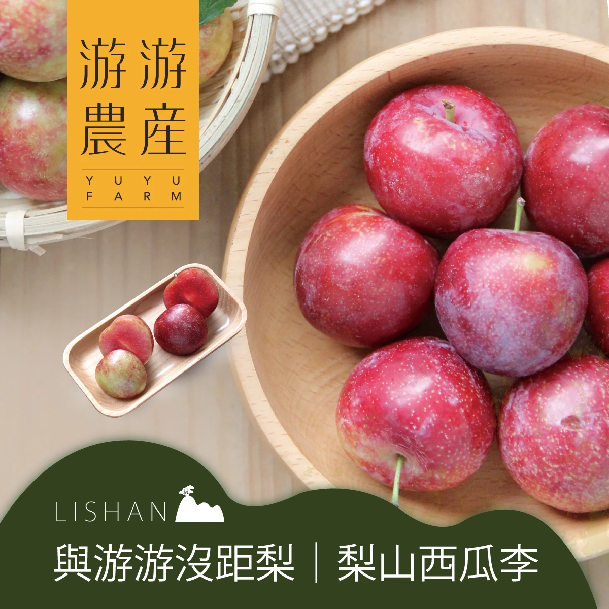 梨山西瓜李（櫻桃蜜李）｜來自高山果園的夏季限定珍品