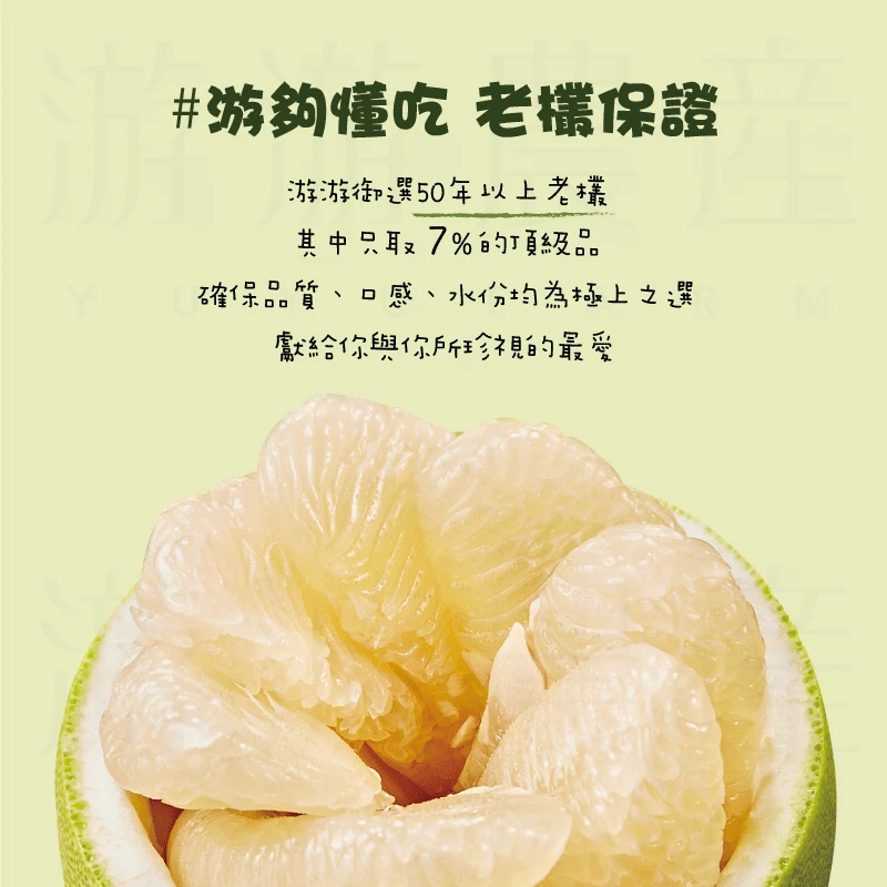 一顆好文旦如何挑選？游游農產堅持親自走進果園