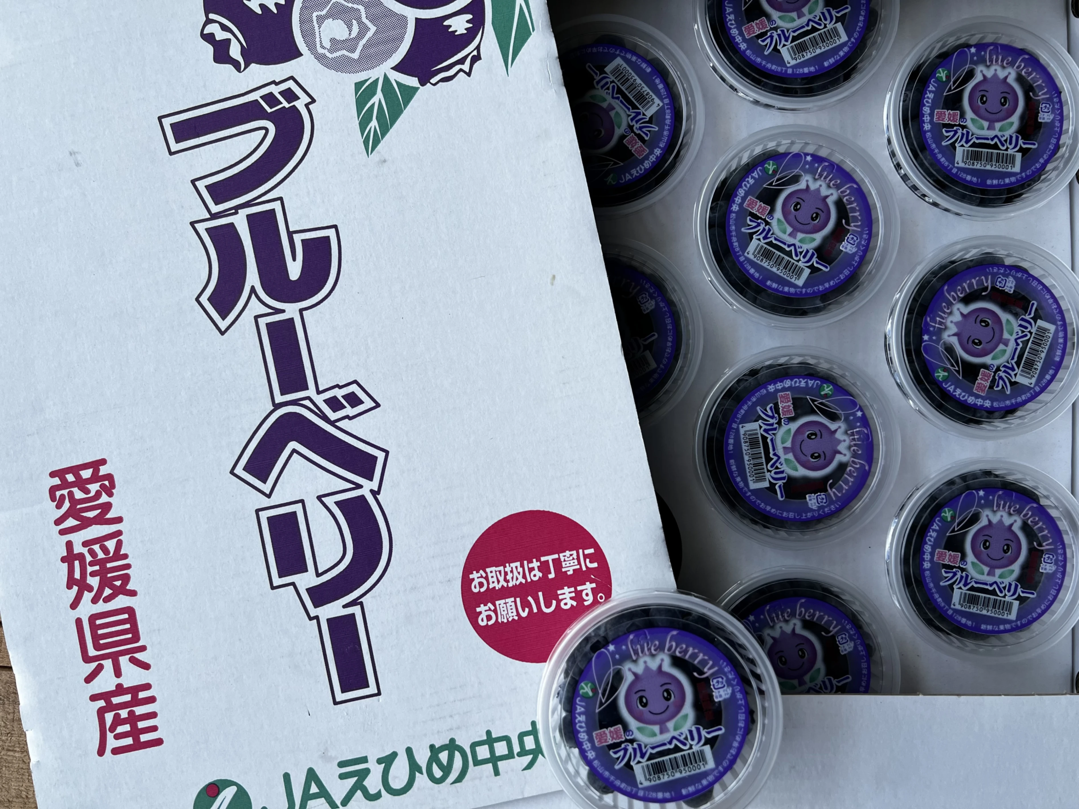 日本空運愛媛藍莓原裝箱10盒入 |含運