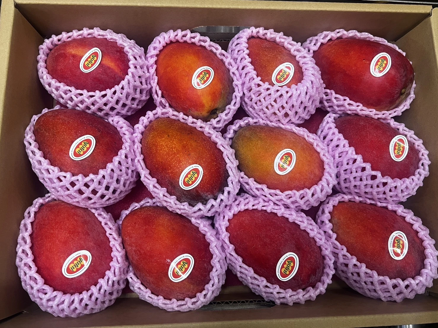 游游農產｜空運日本・愛文芒果禮盒5KG| 含運| 日本本島下單區