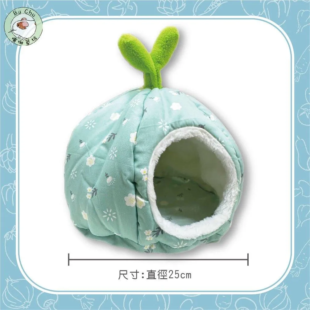 夏季南瓜窩