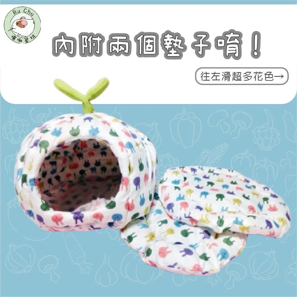 冬季南瓜窩