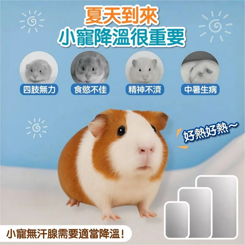寵物降溫散熱板
