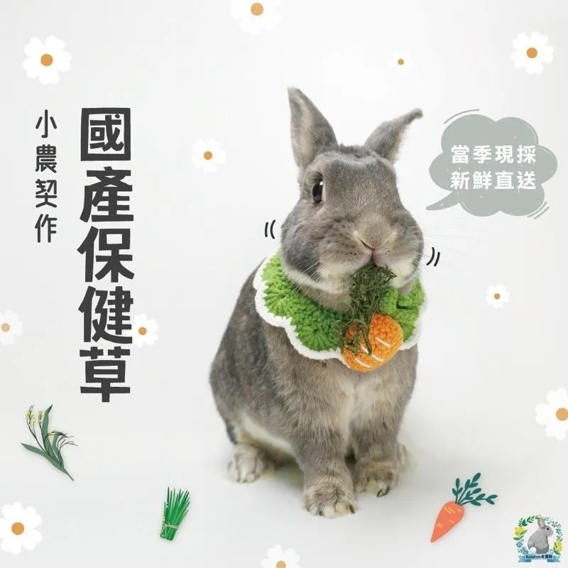 國產烘乾保健草