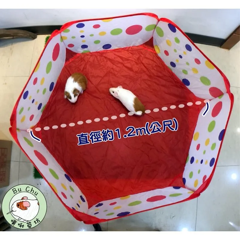 放風球池