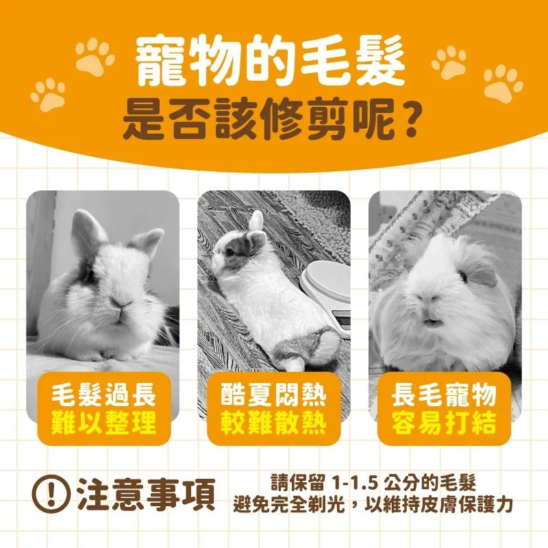 寵物防水剃毛刀