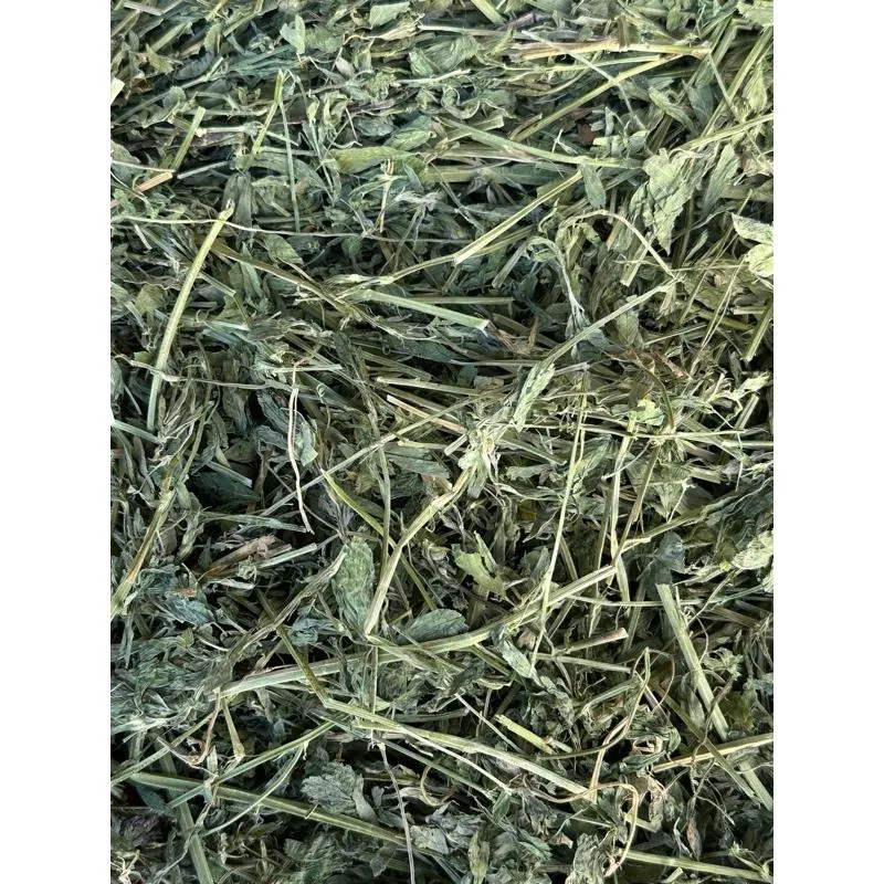 頂級葉多苜蓿草