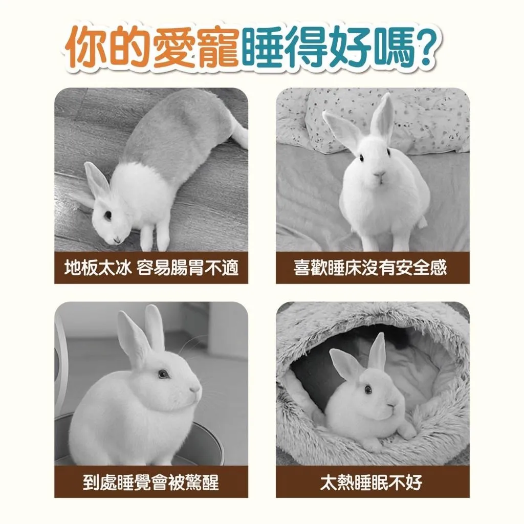 寵物三角帳篷