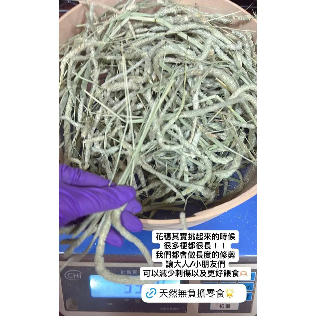 特選提摩西花穗