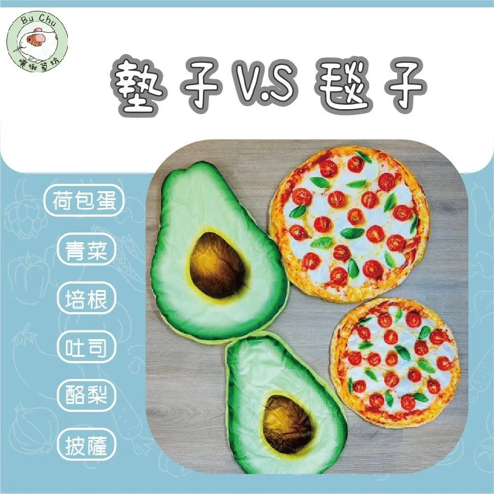 仿真食物寵物毛毯墊