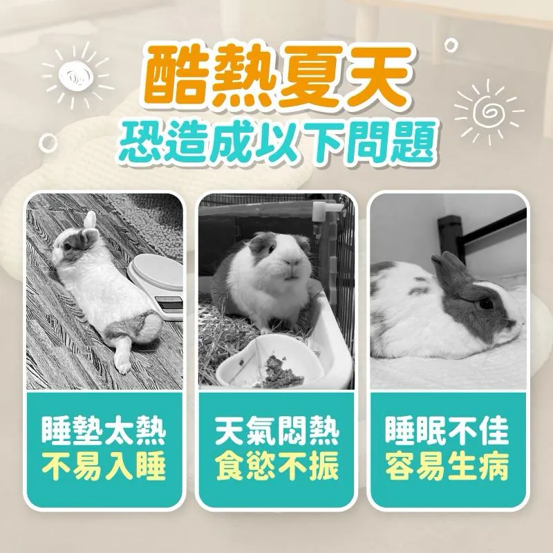冰豆豆涼感冰絲墊