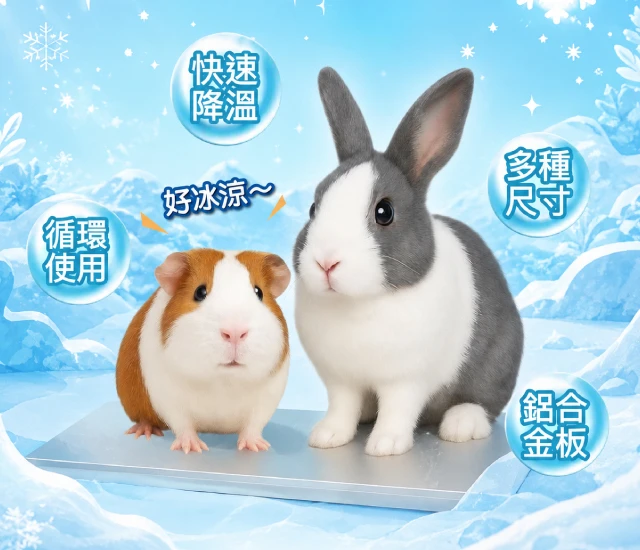 寵物降溫散熱板